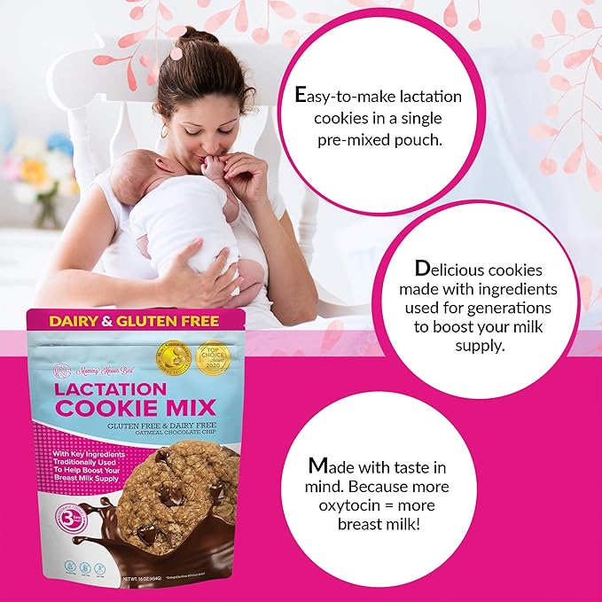 Lactation Cookies Mix - Gluten Free and Dairy Free Oatmeal Breastfeeding Cookie Supplement Support