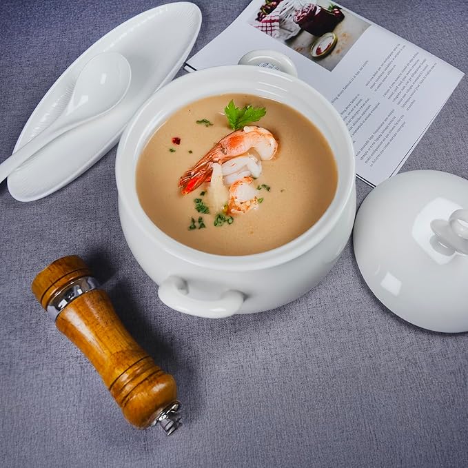Ceramic Serving Soup Tureen Bowls with Lid and soup spoon, 2.4 QT White French Serving Tureen