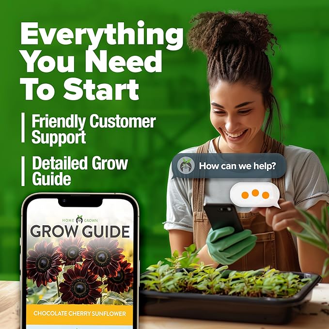 HOME GROWN Chocolate Cherry Sunflower Seeds – 75 𝗡𝗢𝗡-𝗚𝗠𝗢 𝗨𝗦𝗔 Heirloom Seeds for Planting