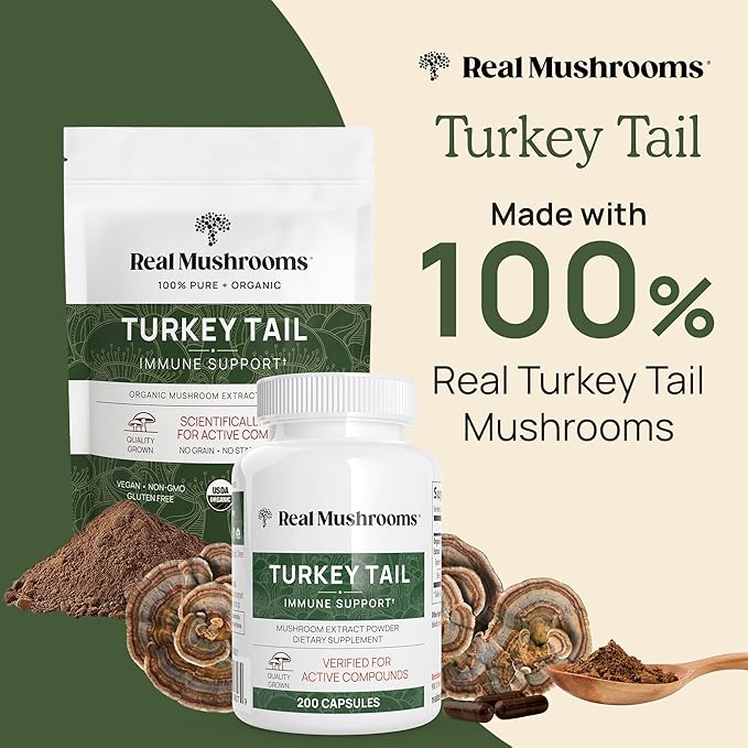 Real Mushrooms Turkey Tail Mushroom Powder ??Organic Mushroom Extract for Daily Wellness Gut