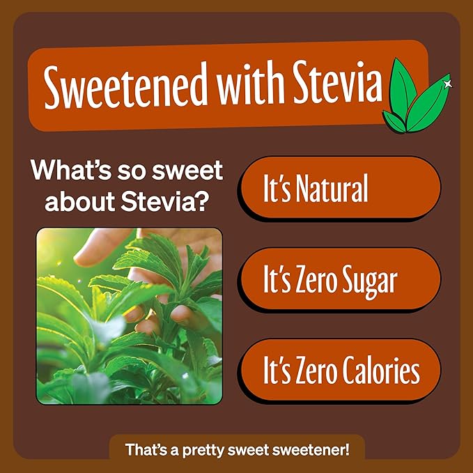 Zevia Zero Sugar Soda, Ginger Root Beer, 12 oz Cans (8-Pack) ??Naturally Sweetened, Non-GMO Project
