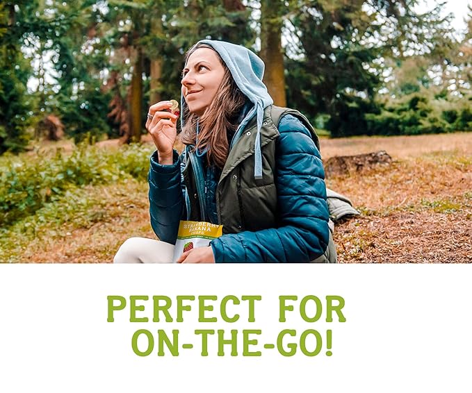 Nature???Turn Freeze-Dried Fruit Snacks, Strawberry Banana Crisps, Pack of 2 (1.2 oz Each)