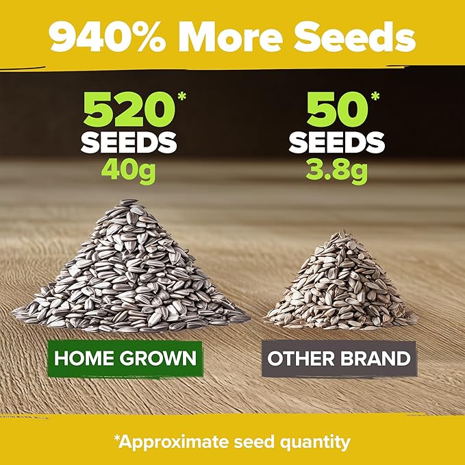 HOME GROWN 𝗨𝗦𝗔 Sunflower Seeds to Plant | 520+ Giant Mammoth Sunflower Seeds for Planting Bulk