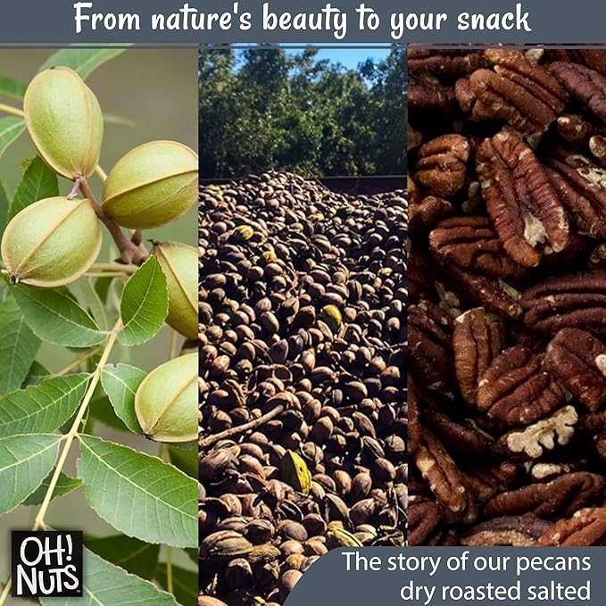 Oh! Nuts Pecans Dry Roasted Salted - All Natural Salted Pecans Halves - 2 lb Bulk Bag - Oil-Free