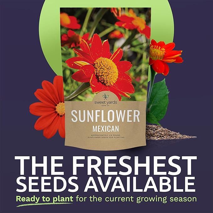 Mexican Sunflower Seeds – Bulk Quarter Pound Bag – Over 10,000 Open Pollinated Non-GMO Wildflower