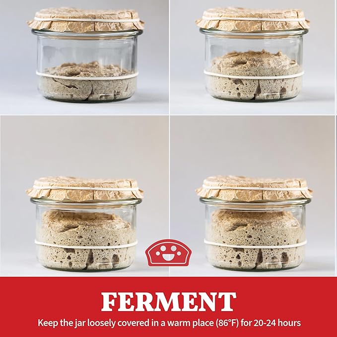 Bakers Club Rapid 24-Hour Sourdough Starter Culture - Makes 5 Batches - Mix, Ferment & Bake Next