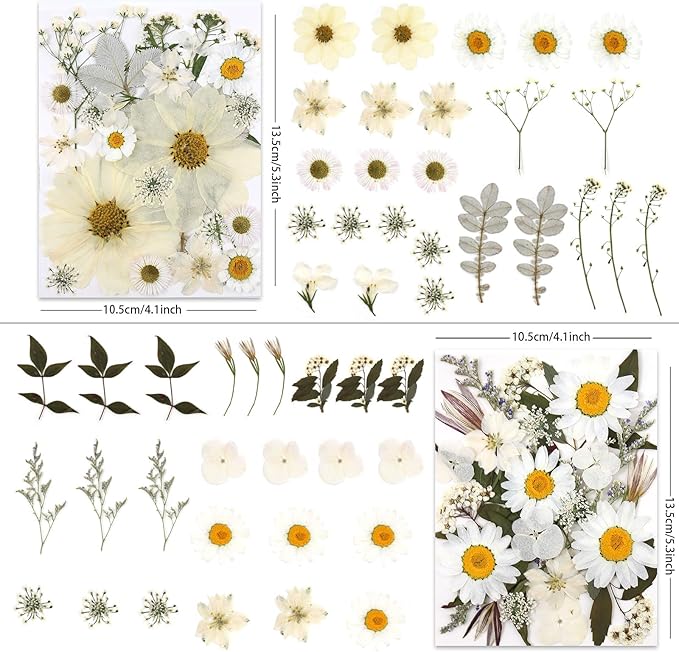 100P White Foliage & Flower Mix Dried Flowers for Crafts, Real Natural Pressed Flowers for DIY