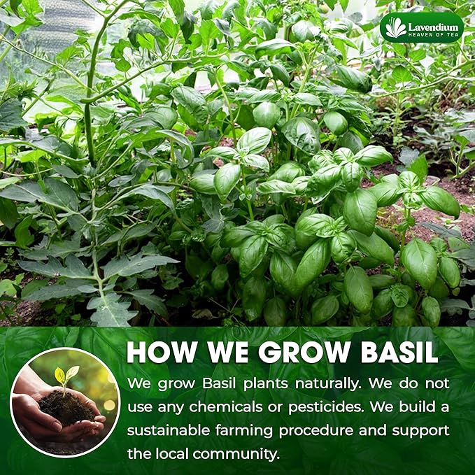 Lavendium, Premium 8oz Dried Basil ??100% Pure, Non-GMO, Gluten-Free, Vegan ??Aromatic Culinary