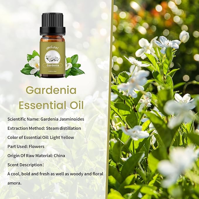 yethious Gardenia Essential Oil, 100% Pure Organic Gardenia Aromatherapy Oil for Diffuser