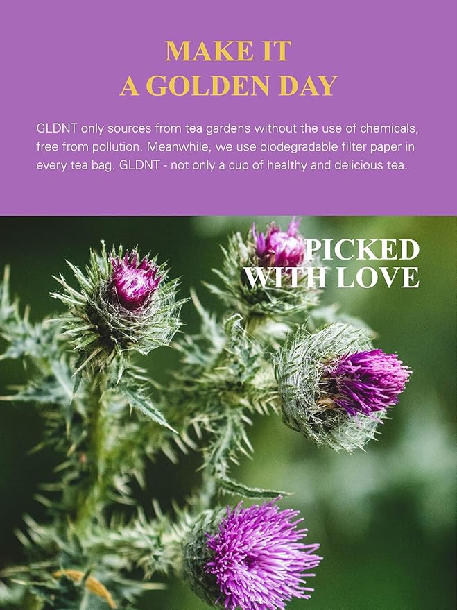GLDNT Organic Milk Thistle Tea, Natural Organic Milk Thistle Seed Herbal Tea, Mild & Mellow Taste