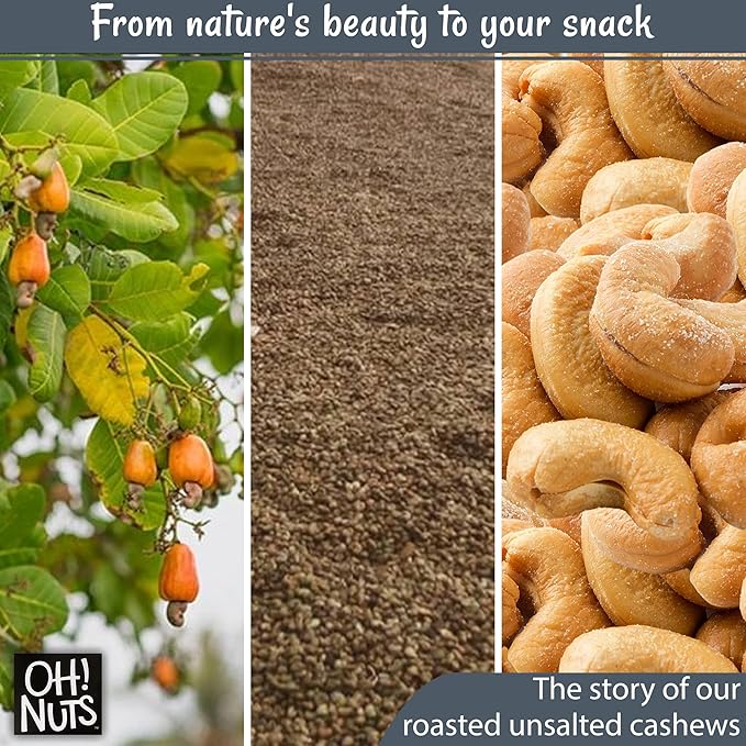 Oh! Nuts Cashews Roasted Unsalted - 1 lb - Roasted Unsalted Cashews - Packed in New York Zip-Seal