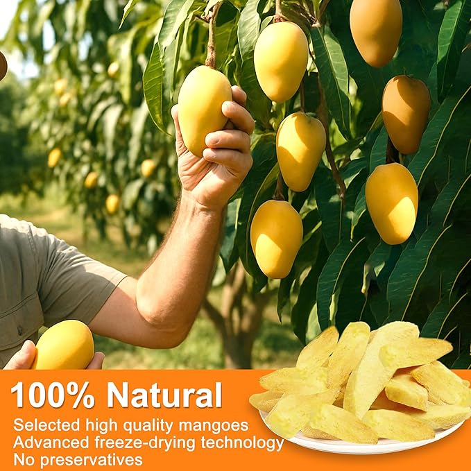 5 Oz Premium Freeze-Dried Mango Sliced, Freeze Dried Fruit Mangoes, Crunchy Natural Snack with Low