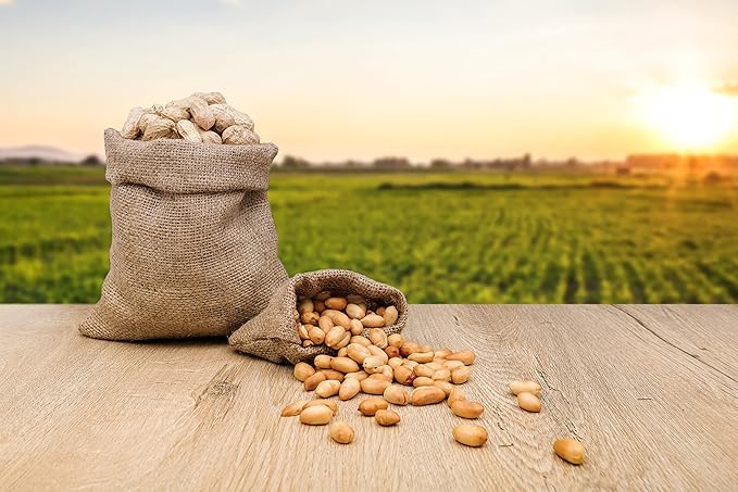 Fruidles Raw Peanuts, Raw Peanuts in Shell, Great for Boiling, Squirrels Feed, Birds Feed and
