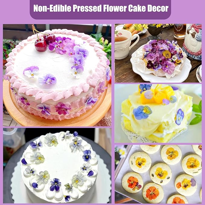 64 Pcs Dried Pressed Viola Flowers, 8 Color Gradient Purple Blue Yellow White, for Resin DIY Art