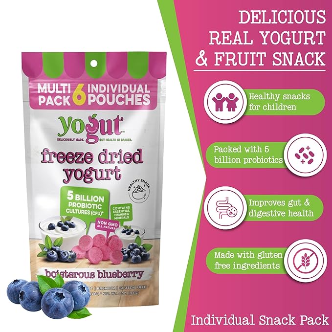 YoGut Freeze Dried Yogurt Snack, Blueberry, 6 Pack, Healthy Snacks for Kids, Toddlers & Adults