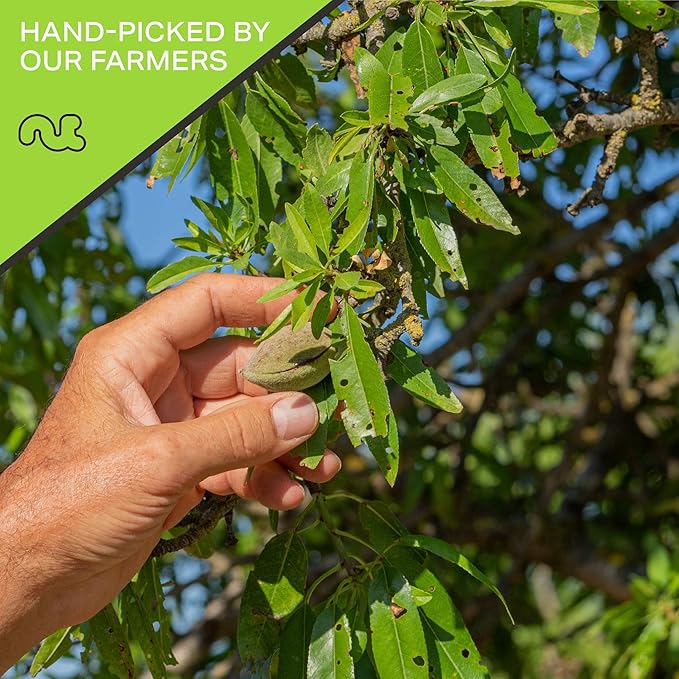 NUT CRAVINGS - Raw Slivered Almonds, Unsalted, (48oz - 3 LB) Packed Fresh in Resealable Bag - Nut