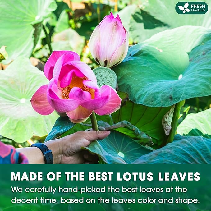 FreshDrinkUS, Premium 135 Lotus Leaf Tea Bags, 100% Natural & Pure from Lotus Leaves. Loose Leaf