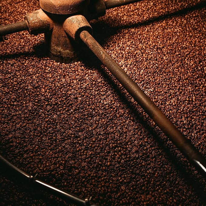Bristot L?˜americano Filter Coffee | Italian Coffee Beans | 100% Arabica | Dark Roast | 2.2lbs/1kg