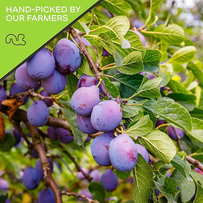 NUT CRAVINGS - Dried Prunes Pitted Unsweetened, Dry Plums No Sugar Added, Unsulphured (16oz, 1 LB)