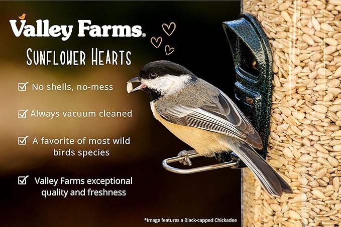 Valley Farms Whole Sunflower Hearts for Birds, Girasol Kernels Wild Bird Food, No Mess Wild Bird