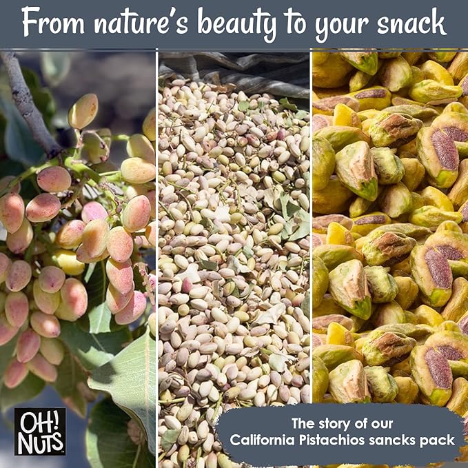 Oh! Nuts Pistachios No Shell - Roasted Salted - 1 lb - Shelled California Pistachios - Packed in