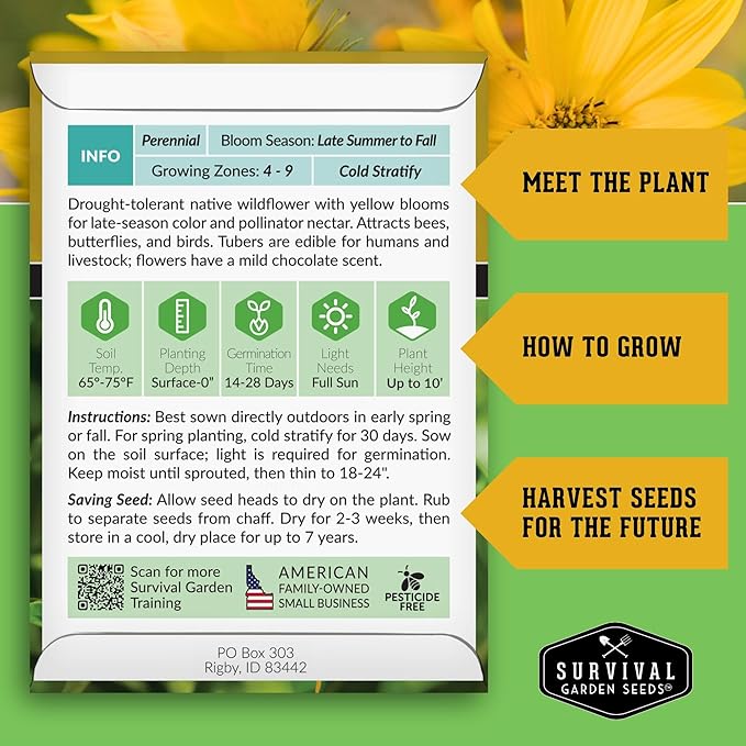 Survival Garden Seeds - Maximilian Sunflower (Helianthus maximiliani) | 10-Foot Prairie Giant |