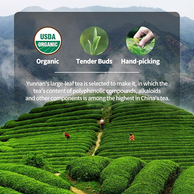KHS Organic Black Tea Grade AAA (Super Grade), 3.17 OZ Chinese Yunnan Black Tea Loose Leaf, No Dust