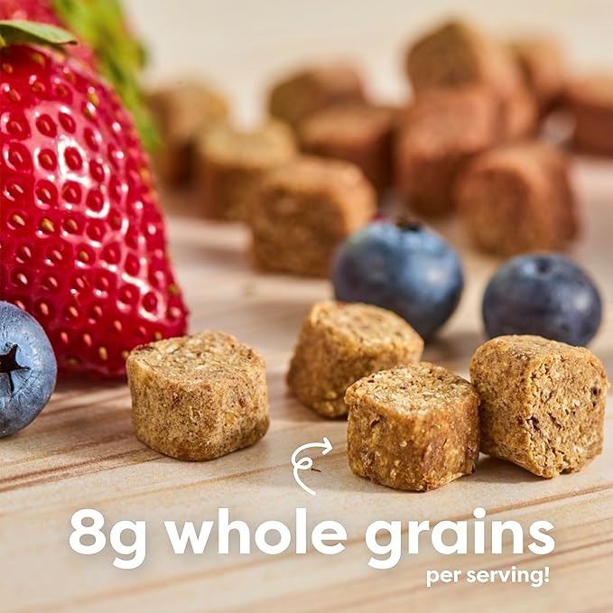 Beech-Nut Toddler Snacks, Oaty Bites with Fruit & Whole Grains, Mixed Berry Toddler Snack Bites for