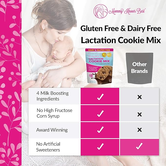 Lactation Cookies Mix - Gluten Free and Dairy Free Oatmeal Breastfeeding Cookie Supplement Support