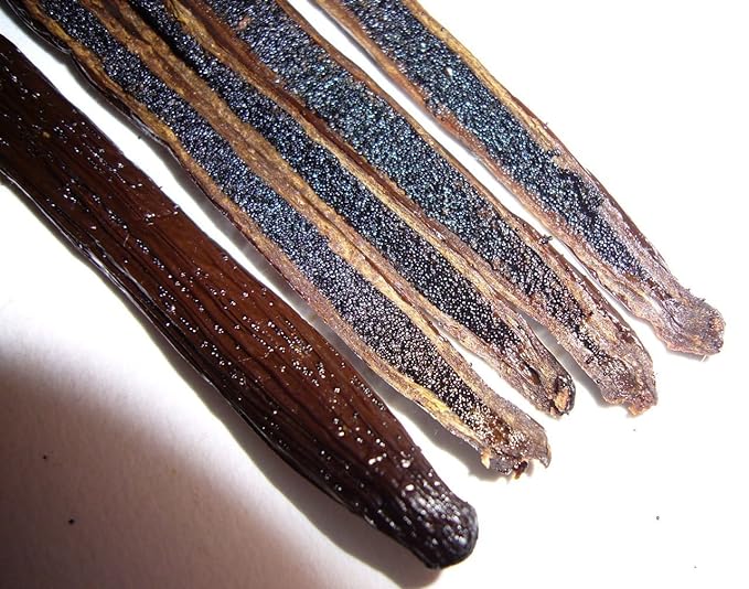 25 Organic Madagascar Vanilla Beans. Whole Grade A Vanilla Pods for Vanilla Extract and Baking