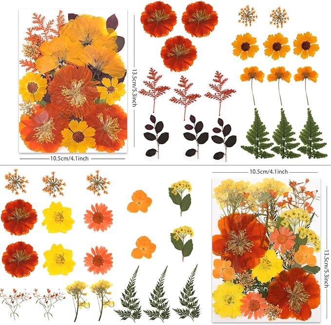 80P Autumn Tone Dried Flowers for Crafts - Real Natural Pressed Flowers in Warm Fall Hues for
