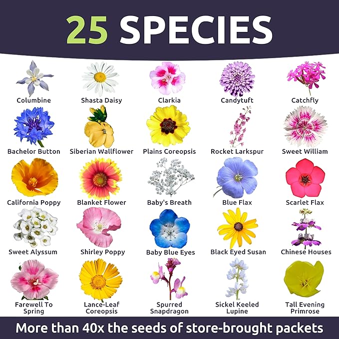 Pacific Northwest Regional Mix - Bulk 1/4 Pound Pouch - 96,000 Flower Seeds for Planting