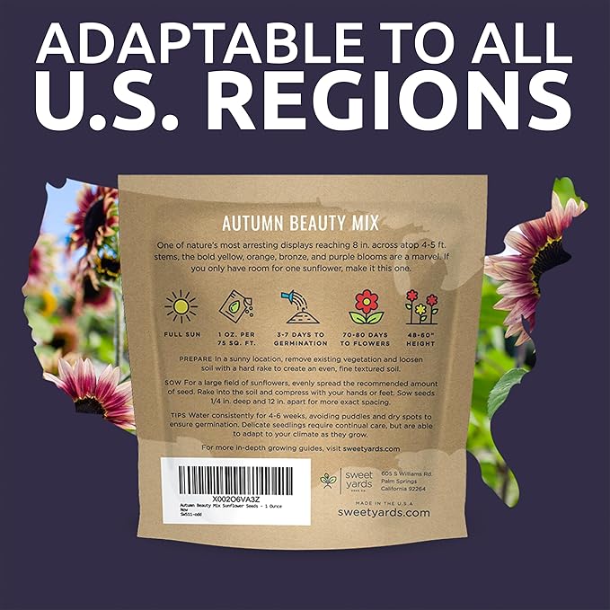 Autumn Beauty Sunflower Seeds – Extra Large Packet – Over 1,400 Open Pollinated Non-GMO Wildflower