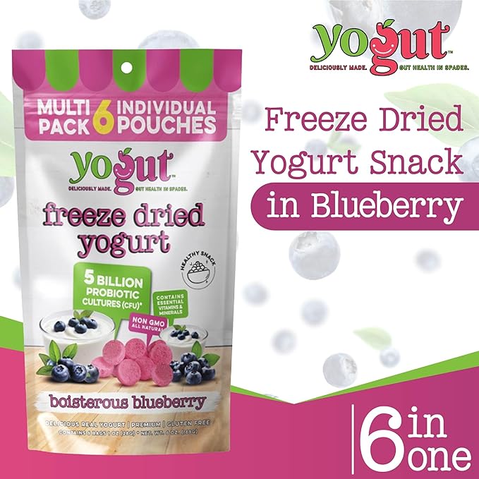 YoGut Freeze Dried Yogurt Snack, Blueberry, 6 Pack, Healthy Snacks for Kids, Toddlers & Adults