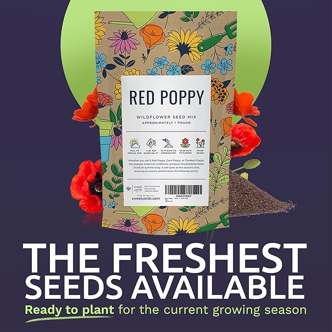 Red Poppy Seeds for Planting - Bulk 1 Pound Bag - Over 3,200,000 Wildflower Seeds