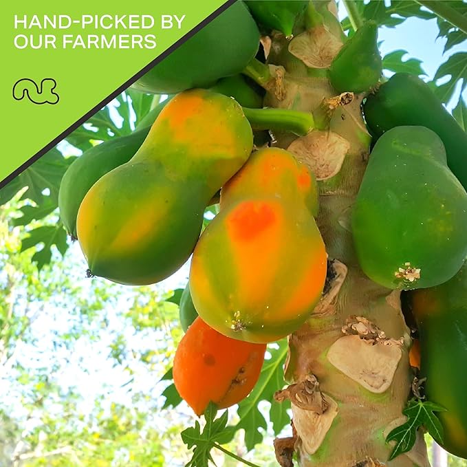 NUT CRAVINGS - Sun Dried Papaya Chunks, Lightly Sweetened (80oz, 5 LB) Bulk Dry Fruits Packed Fresh