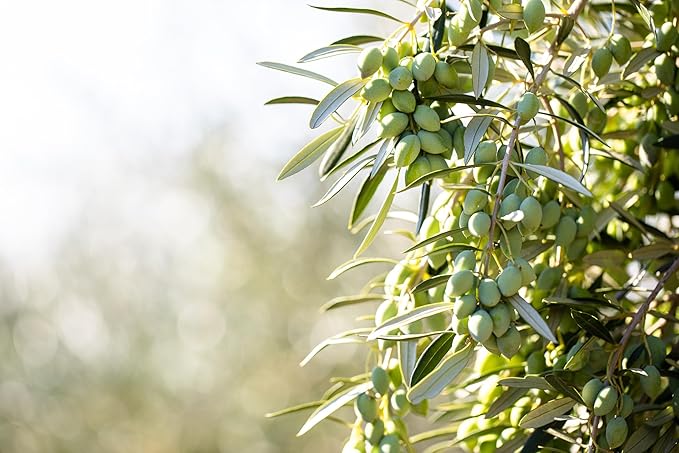 Cobram Estate California Select Extra Virgin Olive Oil - First Cold Pressed, Non-GMO, Keto