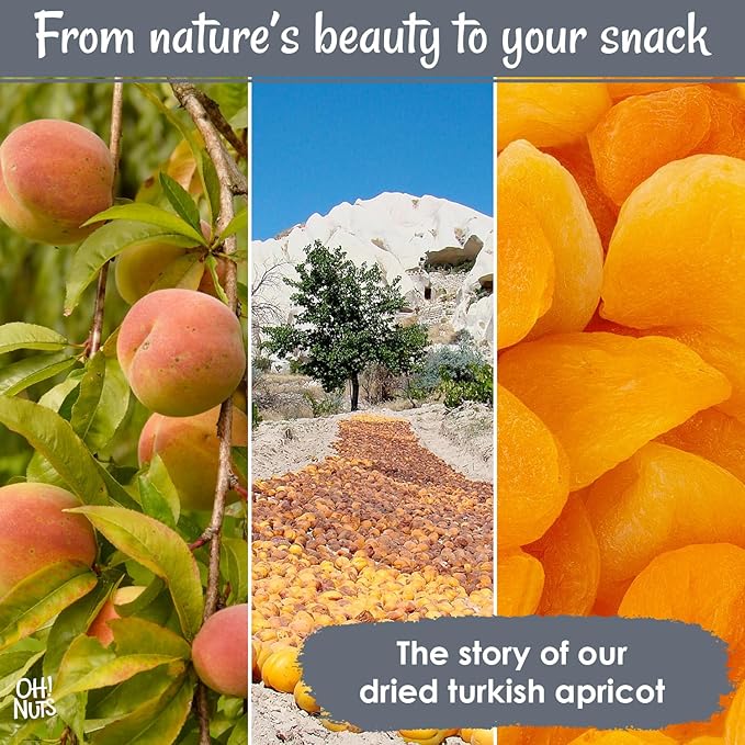 Oh! Nuts Dried Apricots Turkish - 1 lb - Dried Fruit - No Sugar Added - Dehydrated Fruit Bites