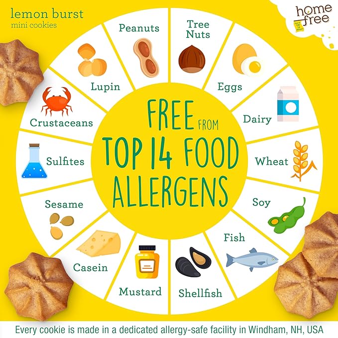 Homefree Treats You Can Trust Gluten Free Mini Cookies, Single Serve, Lemon Burst, 1.0 Ounce (Pack