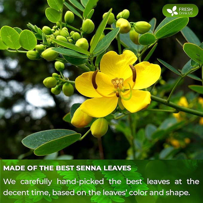 FreshDrinkUS, Permium 10oz Senna Leaves, 100% Natural & Pure from Senna Leaves, Senna Leaf Tea