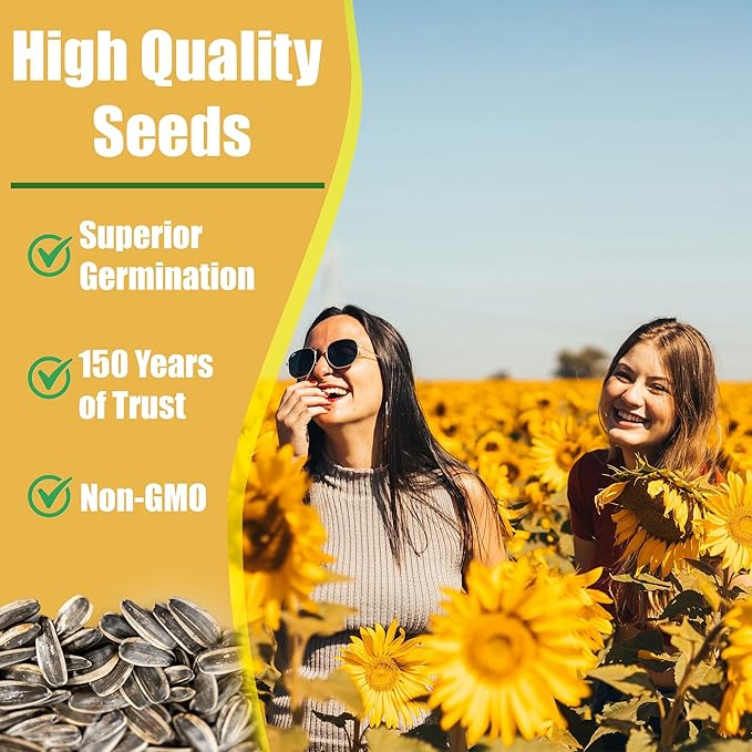 Park Seed Giganteus Sunflower Seeds – Giant 12-Inch Blooms with Seed-Rich Centers on 10-Foot Tall