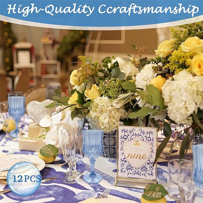 Plastic Wine Glasses，Plastic Goblets Vintage Style Cordial Drinking Glasses for Wedding Reception