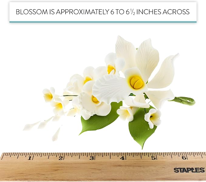 Global Sugar Art Cymbidium Orchid Sugar Cake Flowers Spray, White, 1 Count by Chef Alan Tetreault