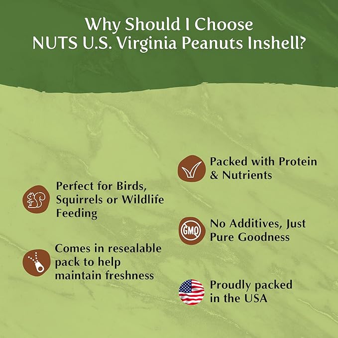 NUTS U.S. - Peanuts In Shell | USA Grown, Non-GMO Raw for Birds, Squirrels & Wildlife | Human