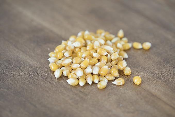 Amish Country Popcorn | 2-14 oz Bottles | Medium Yellow Popcorn Kernels | Old Fashioned, Non-GMO