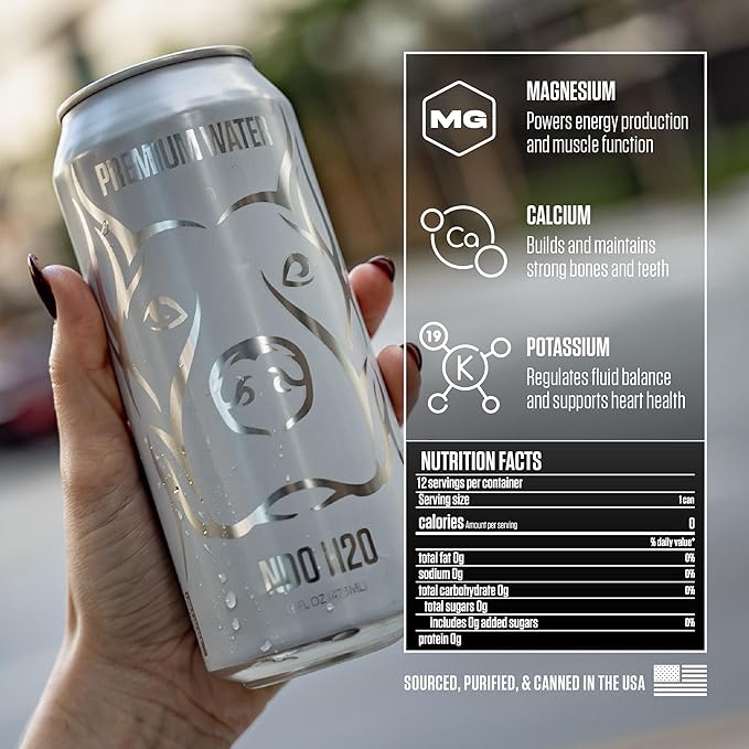 NDO H2O Premium Alkaline Water Case - 12 Pack (16 fl oz, Still) | Reverse Osmosis Purified Canned