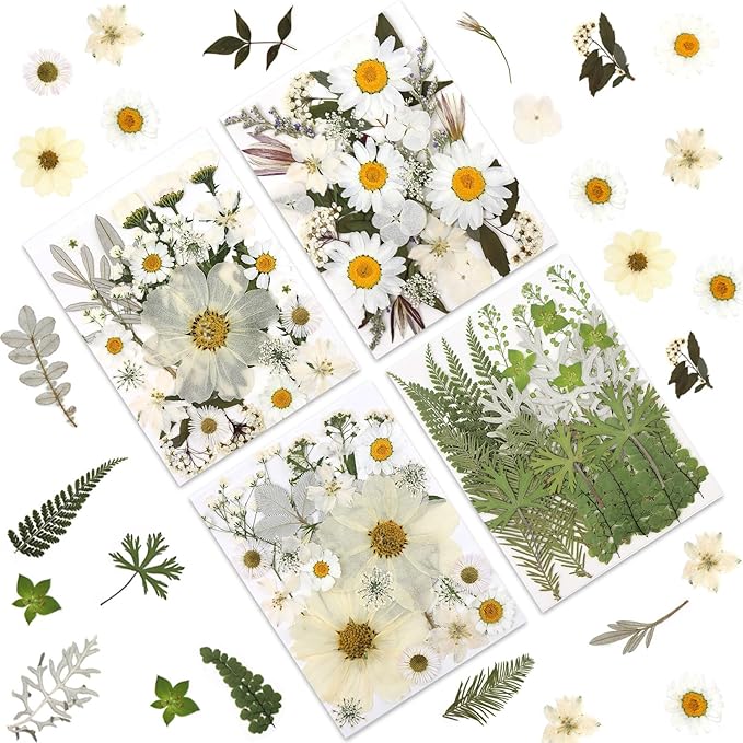 100P White Foliage & Flower Mix Dried Flowers for Crafts, Real Natural Pressed Flowers for DIY