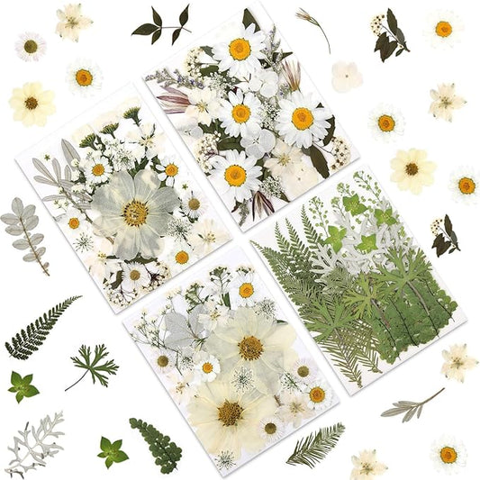 100P White Foliage & Flower Mix Dried Flowers for Crafts, Real Natural Pressed Flowers for DIY