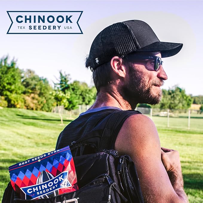 Chinook Seedery Roasted Sunflower Seeds to Eat -1.5 oz (Pack of 36) Parmesan & Pepper - Jumbo Low