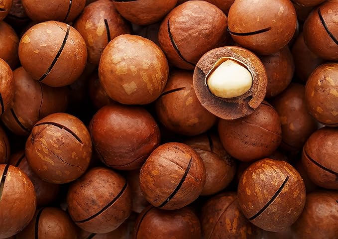 Food to Live Organic Dry Roasted Whole Macadamia Nuts with Himalayan Salt, 8 Ounces – Delicious and